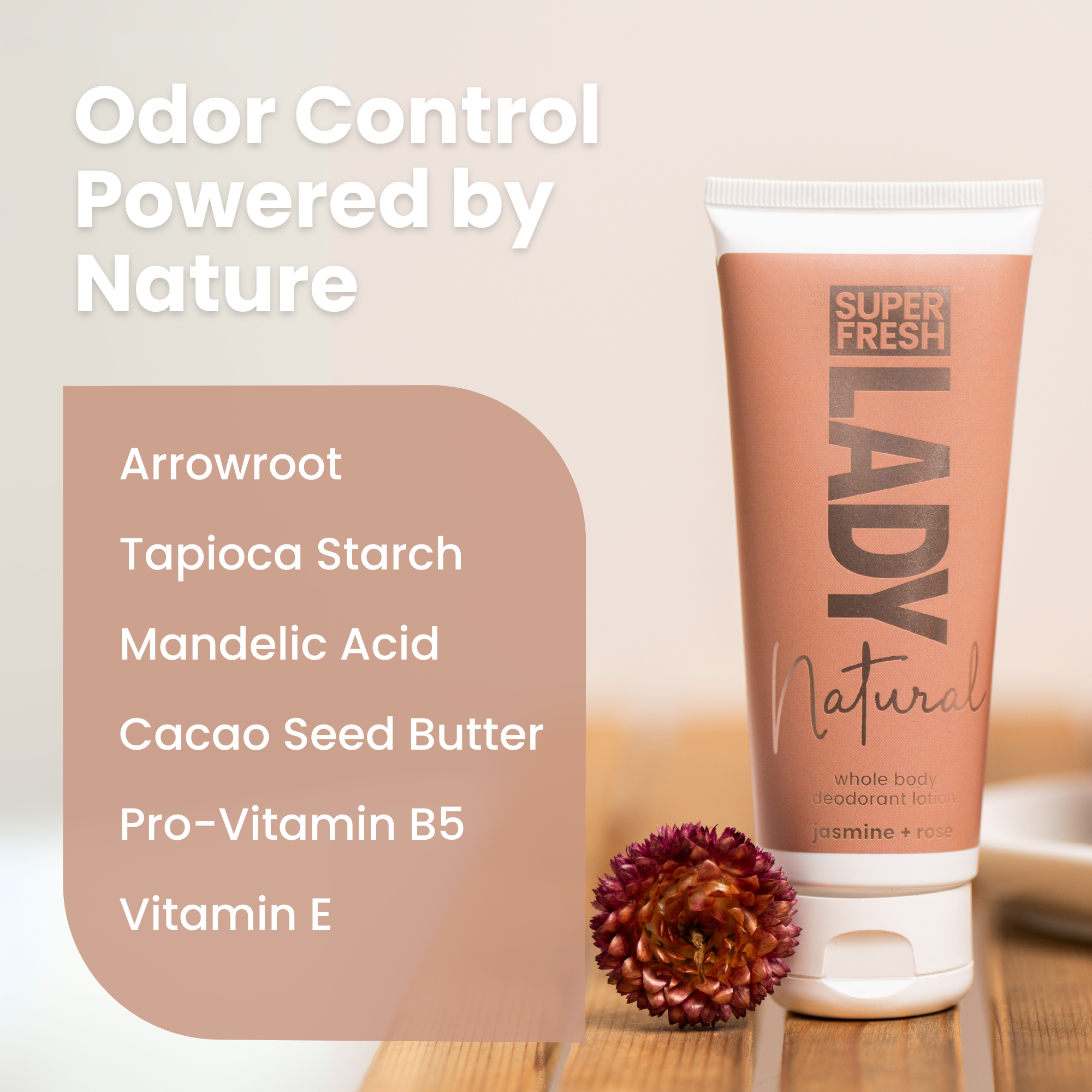 Whole Body Natural Deodorant Lotion for Lady Parts [Jasmine + Rose]