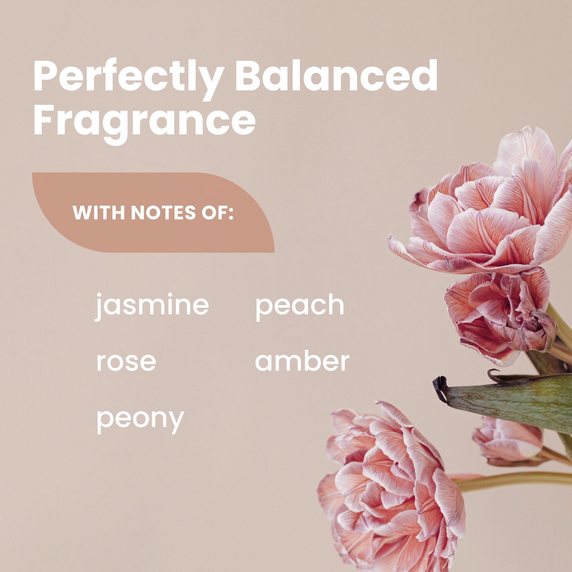 Whole Body Natural Deodorant Lotion for Lady Parts [Jasmine + Rose]